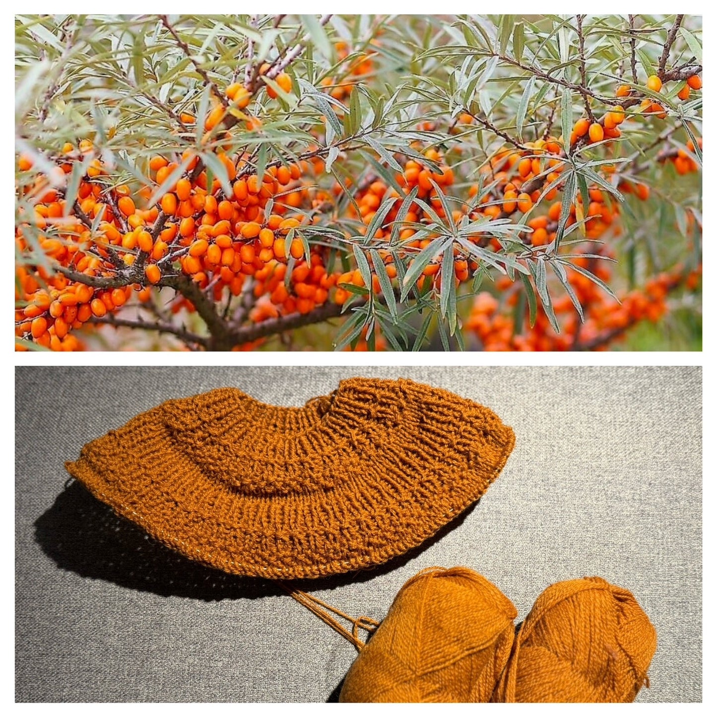 Havtorn Sweater Kids